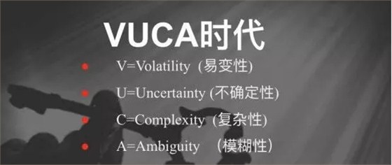 共生命運(yùn)體